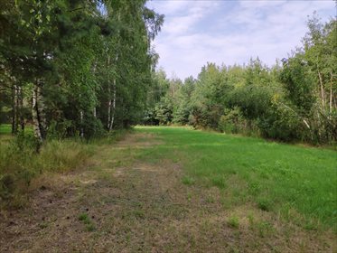 Działka budowlana na sprzedaż Chotyłów 8 503m2 Foto 3
