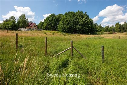 Działka budowlana na sprzedaż Borkowo, Starowiejska 1 628m2 Foto 4