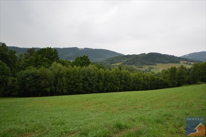 Polecam działkę pod zabudowę z widokiem na góry 4700 m² działka Walowa Góra