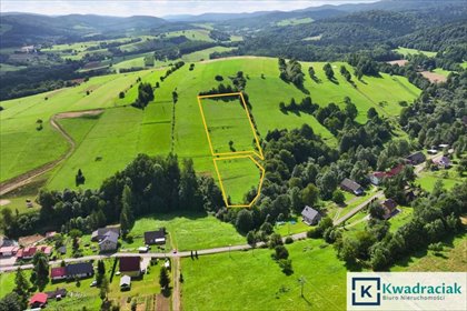 działka na sprzedaż 11100m2 działka Hołuczków