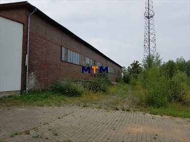Magazyn na sprzedaż Chojna 3 656m2 Foto 2