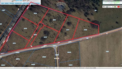 działka na sprzedaż 3178m2 działka Czapielsk, Stokrotki