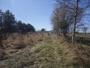 działka na sprzedaż 1111m2 działka Wyględy