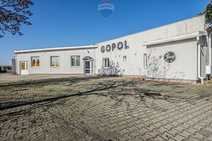 lokal użytkowy na sprzedaż 894m2 lokal użytkowy Biadki, Rozdrażewska