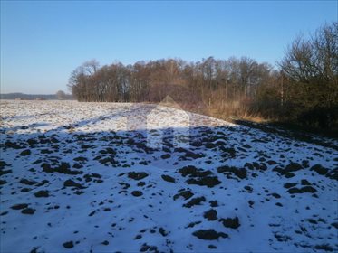 działka na wynajem 5400m2 działka Godziszowa