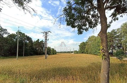 Działka 30 264 m² w Odolanowie – inwestycja i relaks działka Odolanów