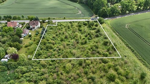 Działka 4663 m² z warunkami zabudowy i mediami działka Ostoja