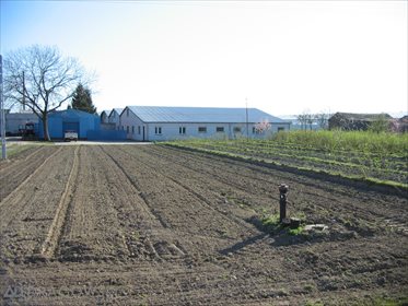 lokal użytkowy na sprzedaż 31400m2 lokal użytkowy Henrysin