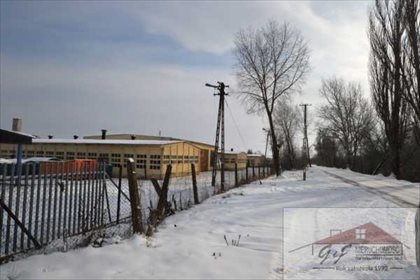 Magazyn na wynajem Munina 17 500m2 Foto 2
