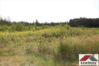 działka na sprzedaż 13205m2 działka Piotrkowice, Piotrkowice