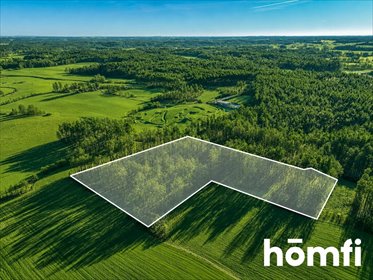 Działka leśna 16 559 m² w Rokitach - inwestycja i gospodarka polecam działka Rokity