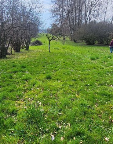 działka na sprzedaż 2300m2 działka Rączna