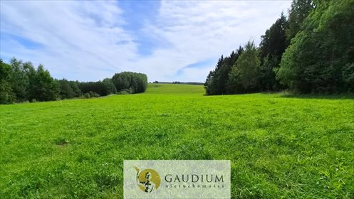 Działka w Warmii z lasem i widokiem na naturę. działka Miejska Wola