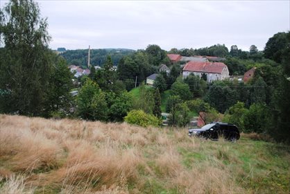Działka budowlana na sprzedaż Miłoszów 6 500m2 Foto 2