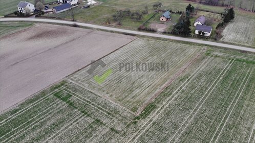 Działka rolna na sprzedaż Strzeszewo 3 000m2 Foto 2