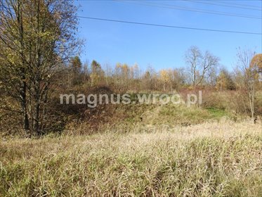 działka na sprzedaż 3000m2 działka Jabłów, Jabłów