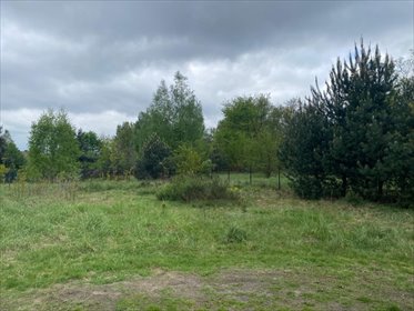 działka na sprzedaż 1663m2 działka Orzesze, Klonowa