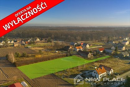 działka na sprzedaż 3900m2 działka Kotowice, Główna