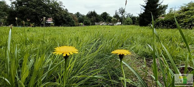 działka na sprzedaż 1794m2 działka Szczepanów