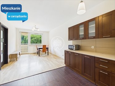 Wynajmę jasne 2-pokojowe mieszkanie na Wyżynach mieszkanie Bydgoszcz, Wyżyny, Bohaterów Kragujewca