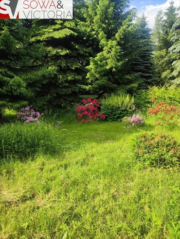 Zapraszam do zakupu działki 8 213 m² w Walimie działka Walim