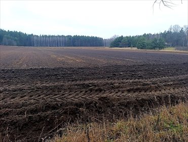 działka na sprzedaż 3694m2 działka Narew