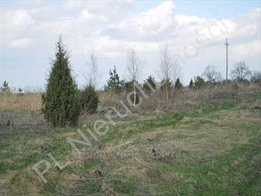 działka na sprzedaż 3200m2 działka Kobierne