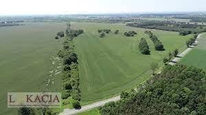 działka na sprzedaż 7000m2 działka Kalisz