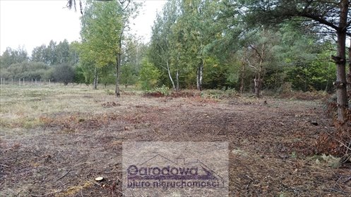 działka na sprzedaż 1000m2 działka Stara Wieś