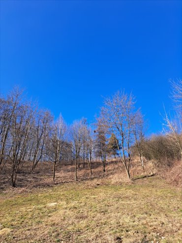 działka na sprzedaż 1730m2 działka Kocmyrzów-Luborzyca, Miodowa, Wysiołek Luborzycki