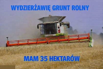 działka na wynajem 10000m2 działka Pniów