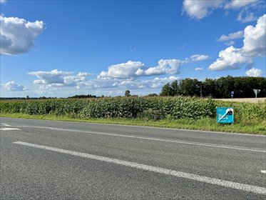 15 ustawnych działek - WZ w procesie, droga asfalt działka Kębliny, Strykowska