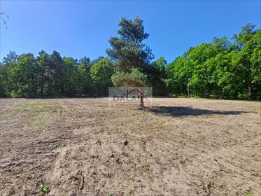 działka na sprzedaż 9859m2 działka Grabów nad Pilicą