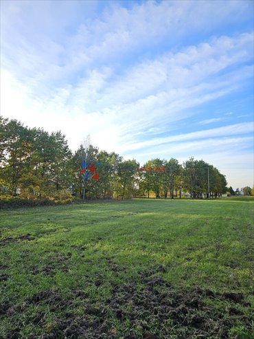 działka na sprzedaż 7600m2 działka Dobiesz