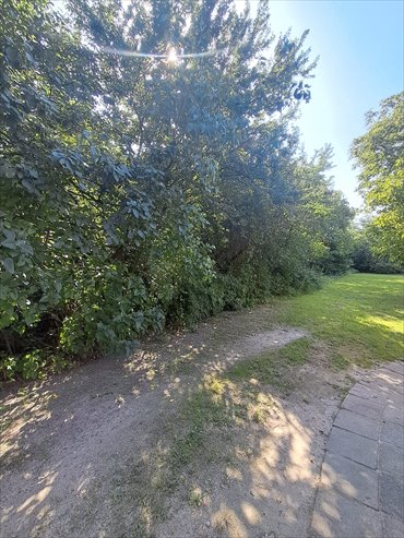 Działka 903 m² pod dom w Piwonicach, media, asfalt. działka Kalisz, Piwonice, Ptolemeusza
