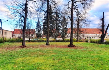 lokal użytkowy na sprzedaż 4770m2 lokal użytkowy Szczepanów