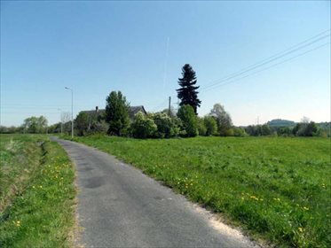 Działka rolna na sprzedaż Karłowiec, okolice Świerdadowa 5 300m2 Foto 1