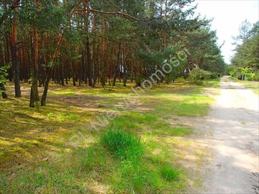 działka na sprzedaż 2318m2 działka Rynia