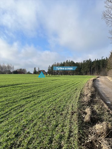 działka na sprzedaż 1539m2 działka Wielki Klincz