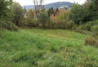 działka na sprzedaż 1400m2 działka Kamesznica