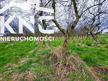 działka na sprzedaż 6300m2 działka Motycz