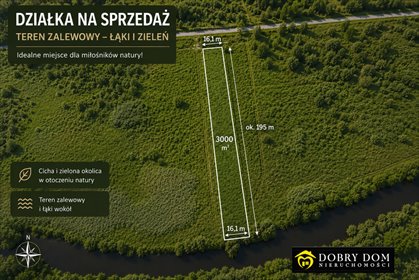 Działka nad Narwią w Łazy Małe – spokój i potencjał inwestycyjny działka Łazy Małe