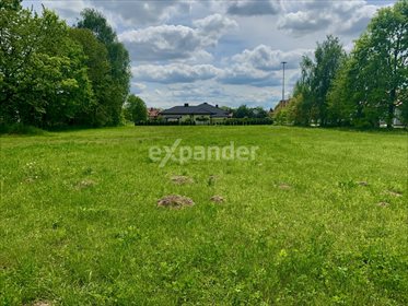 działka na sprzedaż 3000m2 działka Motycz