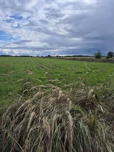 Działka budowlana 1038 m2 z mediami, cicha okolica działka Sierakowice, Kozielska