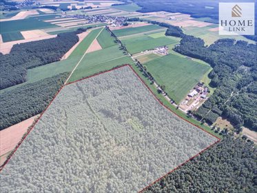 Działka leśna na sprzedaż Nowy Dwór 171 900m2 Foto 3