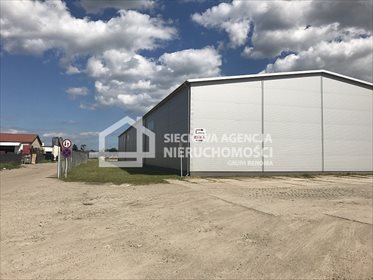 Magazyn na sprzedaż Gdańsk, Dolne Miasto 1 200m2 Foto 6