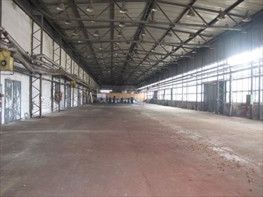lokal użytkowy na sprzedaż 10325m2 lokal użytkowy Żary