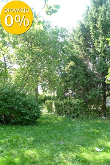 działka na sprzedaż 3842m2 działka Piotrków Trybunalski, Szczekanica
