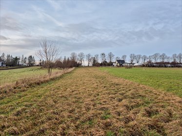 działka na sprzedaż 1336m2 działka Rybno