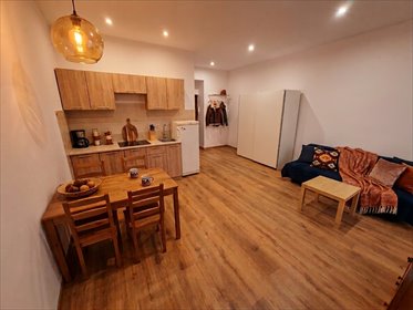 Wynajmę stylową kawalerkę 30 m² z widokiem na Grand Hotel mieszkanie Łódź, Śródmieście, Piotrkowska